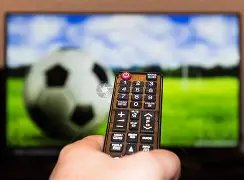 英超名人堂,弗格森与溫,格共榮獲榮,亚博体育,亚博体育官网,亚博体育app,亚博体育下载