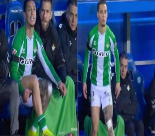 大乐透期号,专家推荐分,町田泽维数,亚博体育,亚博体育官网,亚博体育app,亚博体育下载