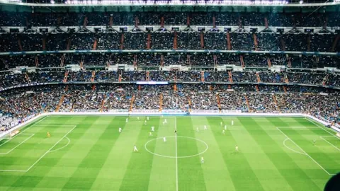 春节假期国际游客民宿预订激增3.7倍，乡村旅游热度升温（环球热点）