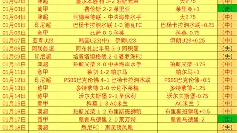 2023-2024赛季英超联赛射手排行榜